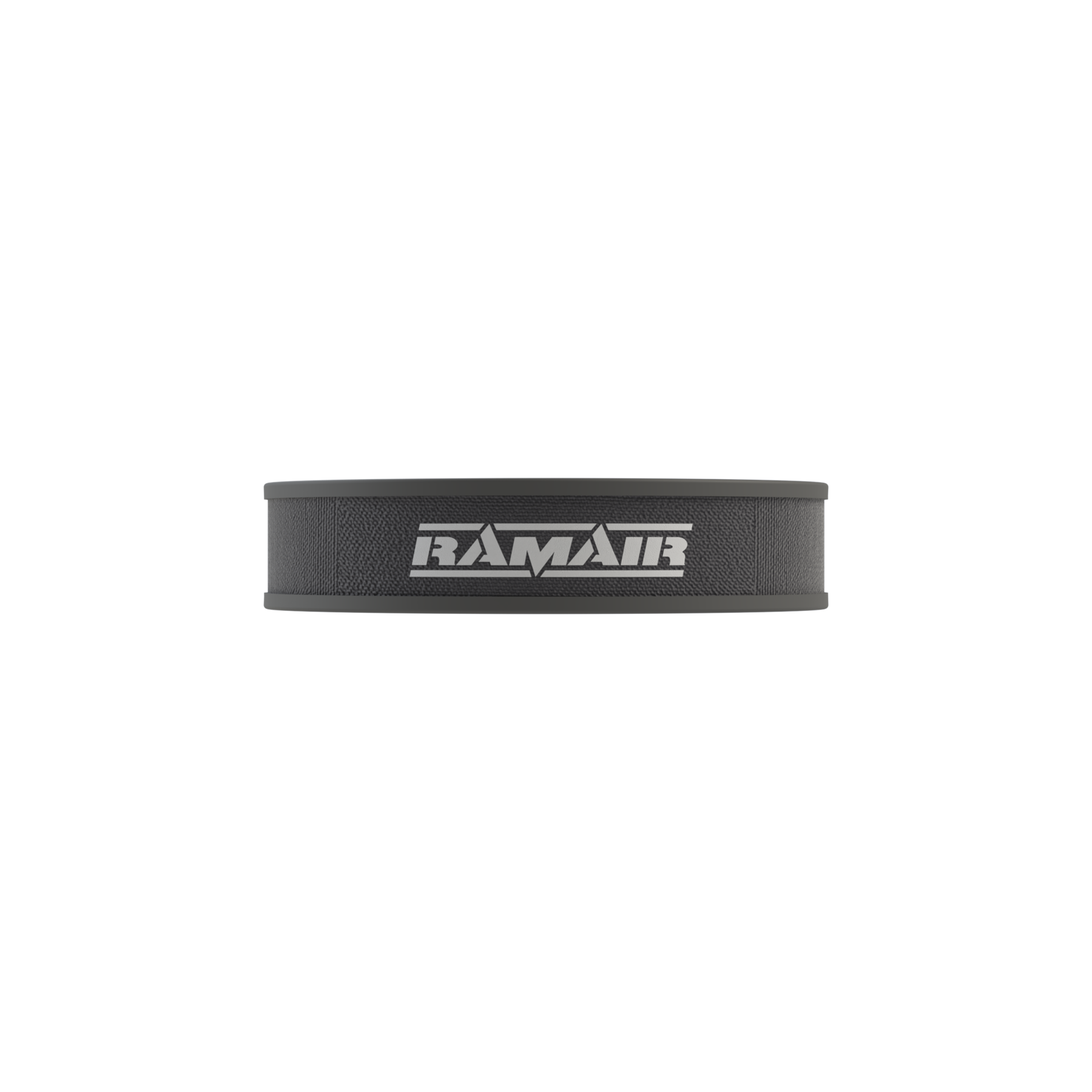Ramair Replacement Panel Filter to fit Audi 50/VW MK1 Polo/VW MK2 Golf