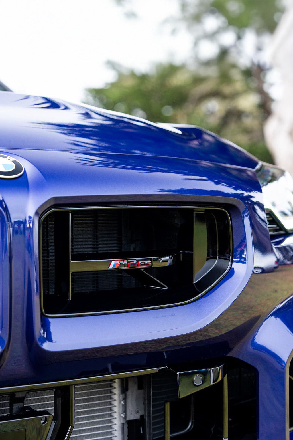 Close-up of a blue M2's CS grille with a logo, blurred natural background