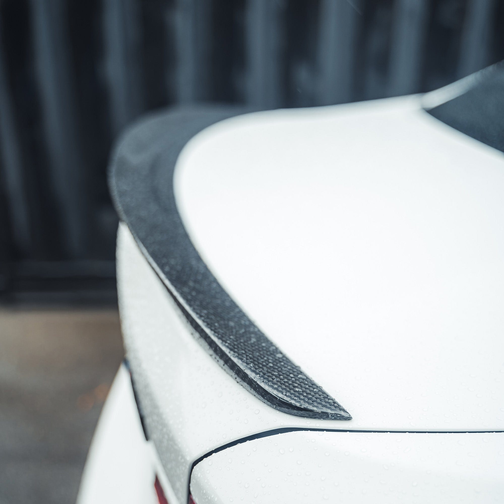 BMW M2/M2C F87/F22 2 SERIES CARBON FIBRE SPOILER - V1