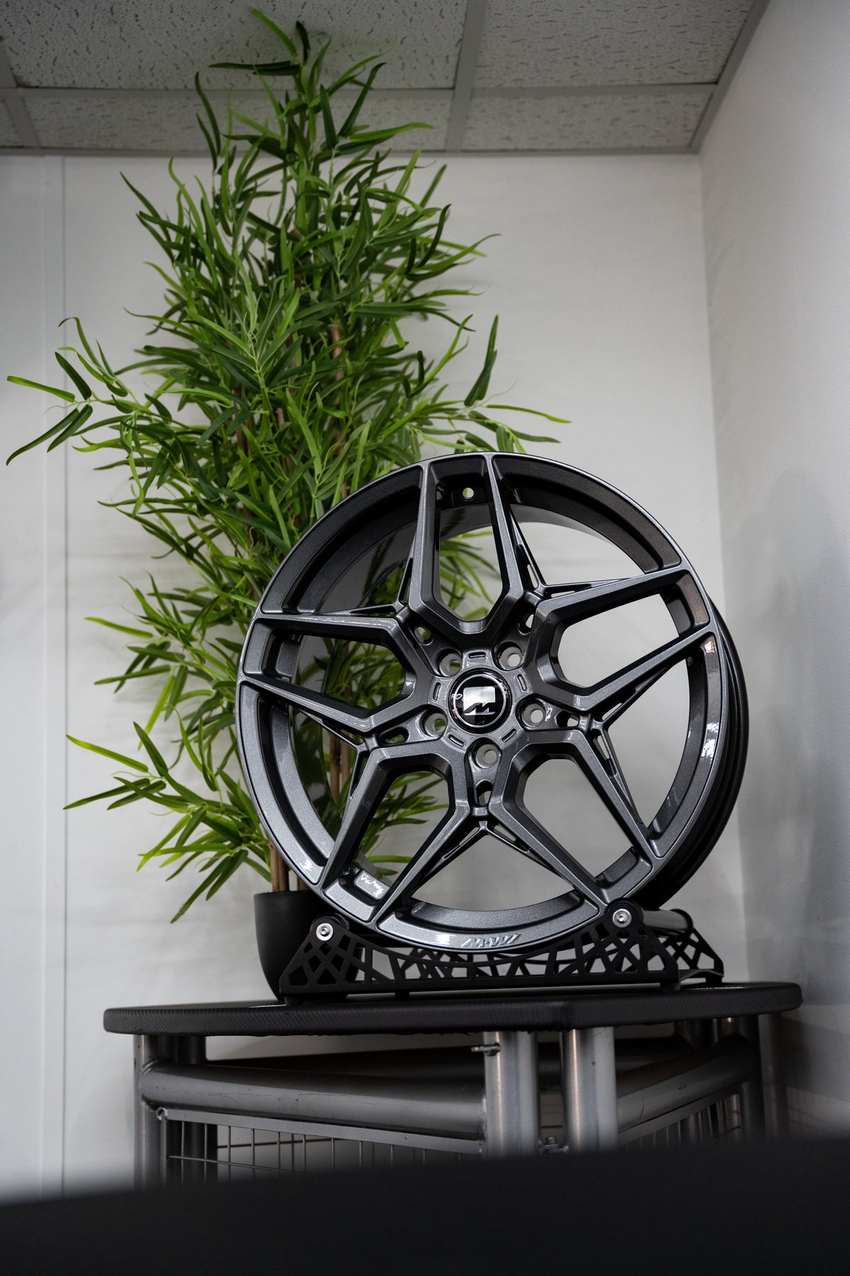 Motech M-W1 Wheel in Carbon Grey with plant in the background.