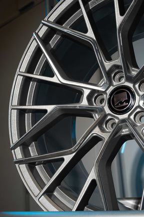 Z4 G29 M-W3 20" Silver Polished Motech Wheel