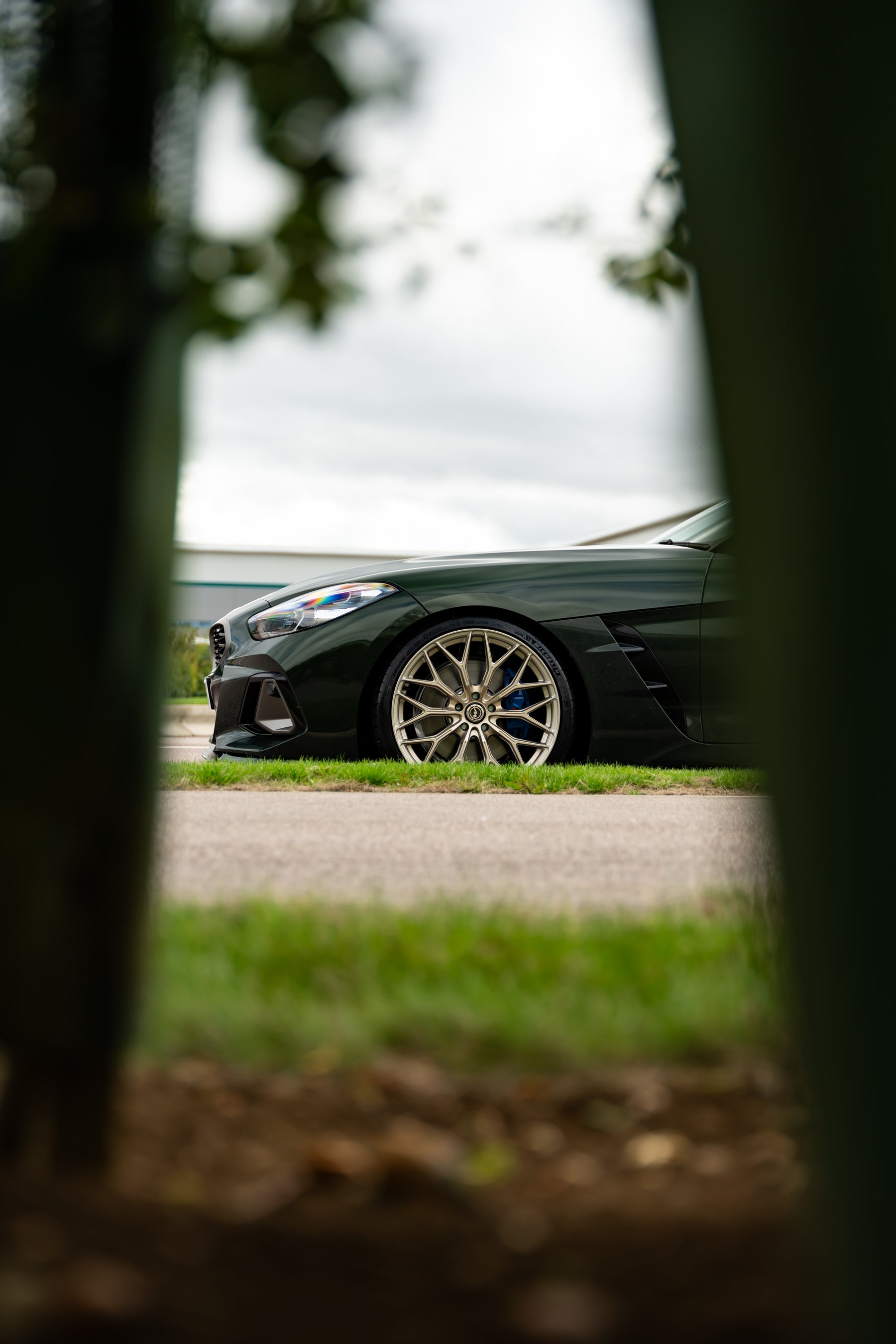 Z4 G29 M-WX 20" Frozen Gold Motech Wheel