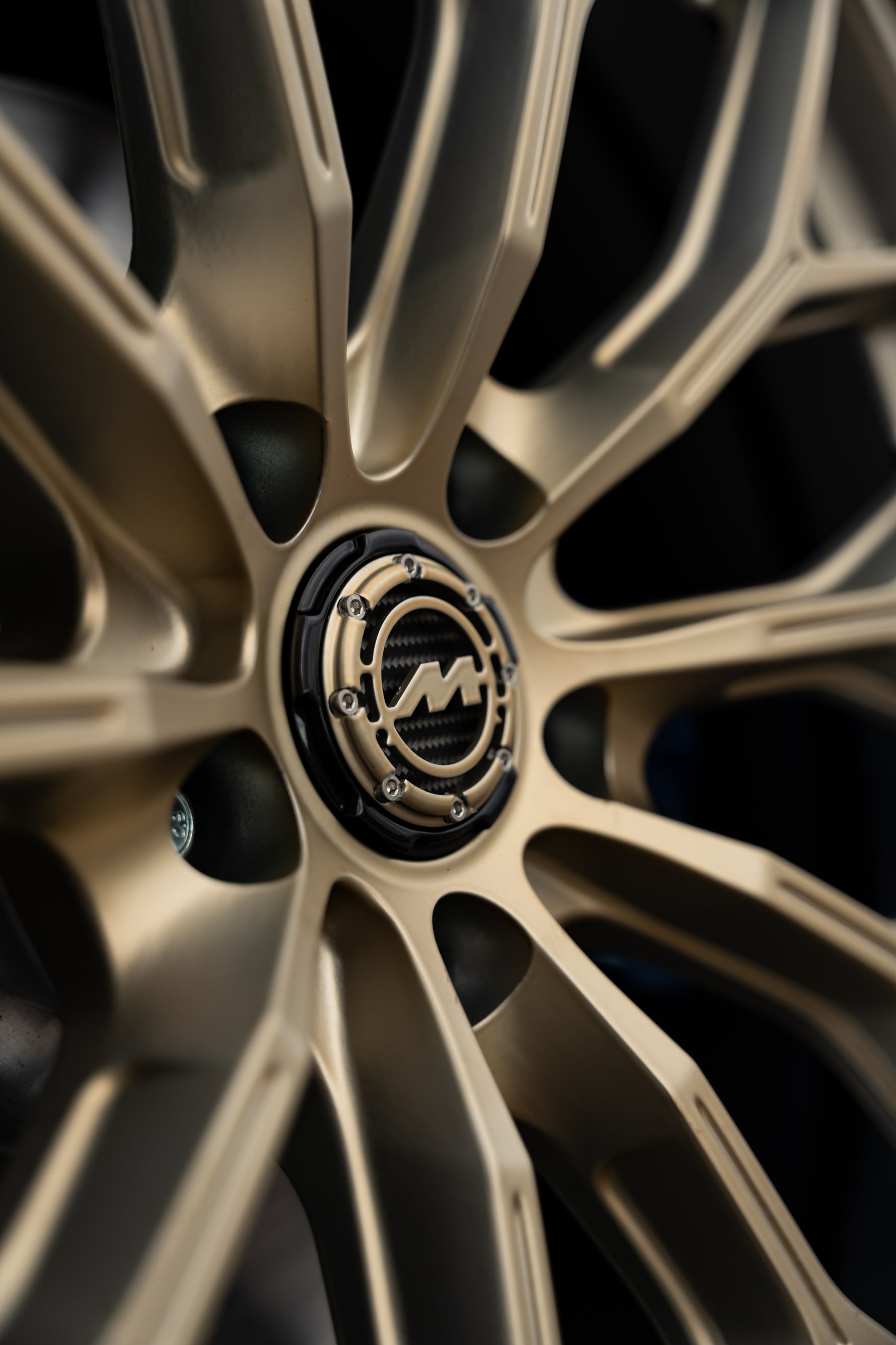 Z4 G29 M-WX 20" Frozen Gold Motech Wheel