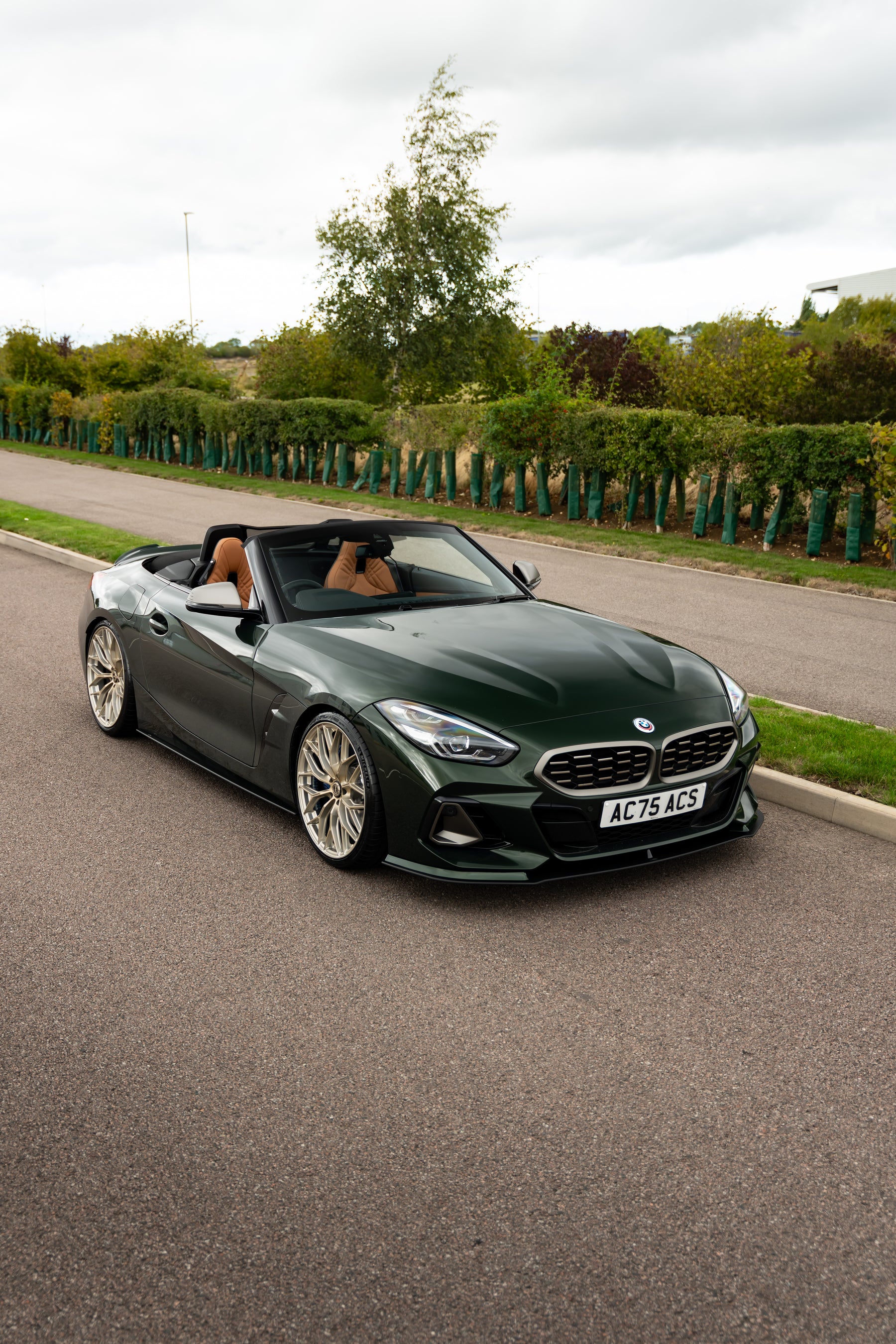 Z4 G29 M-WX 20" Frozen Gold Motech Wheel