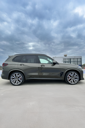 BMW X5/X6 AC5 22" Bicolor Alloy Wheel Sets