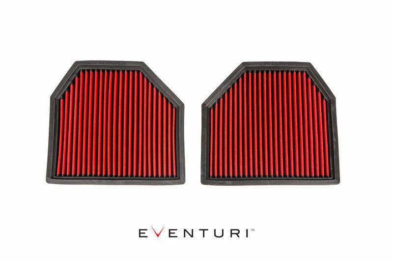 BMW F87 M2 Competition Eventuri Panel Filters