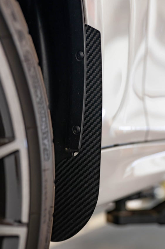 BMW 1 series F70 AP Carbon Fibre Arch Guards